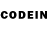 Псилоцибиновые грибы мицелий Abood Cohen