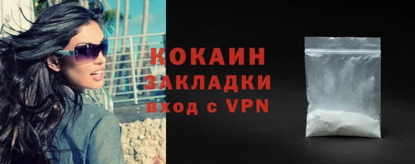 сатива Козельск