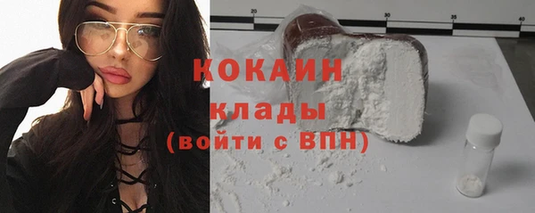 сатива Козельск