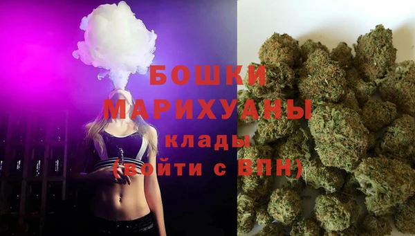 сатива Козельск