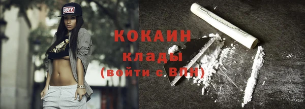 сатива Козельск