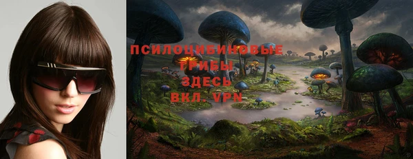 герыч Кинешма